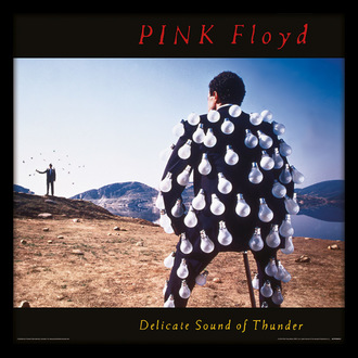 Poster incorniciato Pink Floyd - (Delicate Sound of Thunder) - PYRAMID POSTERS, PYRAMID POSTERS, Pink Floyd