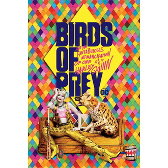 Poster Birds of Prey - DC COMICS - PYRAMID POSTERS, PYRAMID POSTERS
