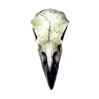 Decorazione ALCHEMY GOTHIC - Small Raven Skull - V66